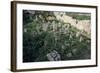 Phoenician-Punic Tanit and Baal Hammon Tophet-null-Framed Giclee Print