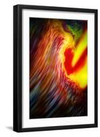 Phoenix 1-Ursula Abresch-Framed Photographic Print