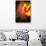 Phoenix 1-Ursula Abresch-Photographic Print displayed on a wall