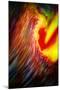 Phoenix 1-Ursula Abresch-Mounted Photographic Print