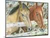 Phoenix and Sadona 600-Beverly Dyer-Mounted Art Print