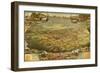 Phoenix, Arizona - Panoramic Map-Lantern Press-Framed Art Print