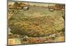 Phoenix, Arizona - Panoramic Map-Lantern Press-Mounted Art Print