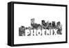 Phoenix Arizona Skyline BG 2-Marlene Watson-Framed Stretched Canvas
