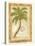 Phoenix Date Palm-Marianne D^ Cuozzo-Stretched Canvas