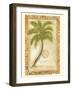 Phoenix Date Palm-Marianne D^ Cuozzo-Framed Art Print