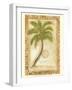 Phoenix Date Palm-Marianne D^ Cuozzo-Framed Art Print