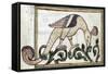 Phoenix, Legendary Creature-Science Source-Framed Stretched Canvas