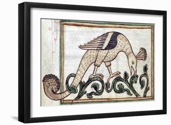 Phoenix, Legendary Creature-Science Source-Framed Giclee Print