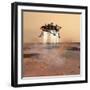 Phoenix Mars Lander-Stocktrek Images-Framed Photographic Print