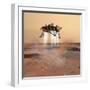 Phoenix Mars Lander-Stocktrek Images-Framed Photographic Print