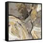 Phoenix Neutral-Albena Hristova-Framed Stretched Canvas