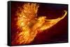 Phoenix Rising by Tom Wood Poster-Tom Wood-Framed Stretched Canvas