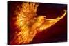 Phoenix Rising by Tom Wood Poster-Tom Wood-Stretched Canvas