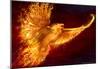 Phoenix Rising-Tom Wood-Mounted Poster