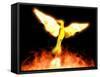 Phoenix-Christian Darkin-Framed Stretched Canvas