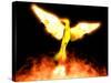 Phoenix-Christian Darkin-Stretched Canvas