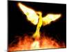 Phoenix-Christian Darkin-Mounted Photographic Print