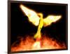 Phoenix-Christian Darkin-Framed Photographic Print