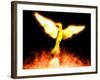 Phoenix-Christian Darkin-Framed Photographic Print