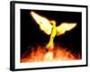 Phoenix-Christian Darkin-Framed Photographic Print