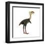 Phorusrhacos, an Extinct Genus of Flightless Predatory Birds-null-Framed Art Print