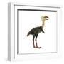 Phorusrhacos, an Extinct Genus of Flightless Predatory Birds-null-Framed Art Print