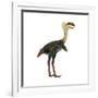 Phorusrhacos, an Extinct Genus of Flightless Predatory Birds-null-Framed Art Print