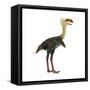 Phorusrhacos, an Extinct Genus of Flightless Predatory Birds-null-Framed Stretched Canvas