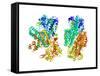 Phosphofructokinase Bacterial Enzyme-Laguna Design-Framed Stretched Canvas