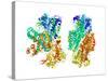 Phosphofructokinase Bacterial Enzyme-Laguna Design-Stretched Canvas