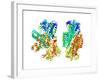 Phosphofructokinase Bacterial Enzyme-Laguna Design-Framed Photographic Print