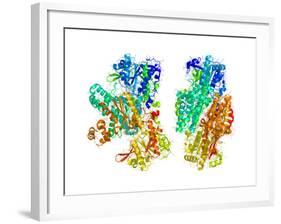 Phosphofructokinase Bacterial Enzyme-Laguna Design-Framed Photographic Print