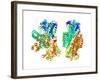 Phosphofructokinase Bacterial Enzyme-Laguna Design-Framed Photographic Print