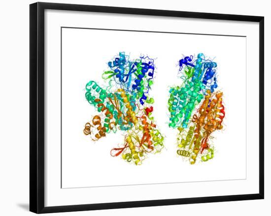 Phosphofructokinase Bacterial Enzyme-Laguna Design-Framed Photographic Print