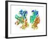 Phosphofructokinase Bacterial Enzyme-Laguna Design-Framed Photographic Print