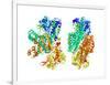 Phosphofructokinase Bacterial Enzyme-Laguna Design-Framed Photographic Print