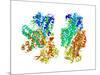 Phosphofructokinase Bacterial Enzyme-Laguna Design-Mounted Photographic Print