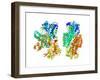 Phosphofructokinase Bacterial Enzyme-Laguna Design-Framed Photographic Print