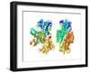 Phosphofructokinase Bacterial Enzyme-Laguna Design-Framed Photographic Print