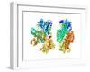 Phosphofructokinase Bacterial Enzyme-Laguna Design-Framed Photographic Print