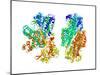 Phosphofructokinase Bacterial Enzyme-Laguna Design-Mounted Photographic Print