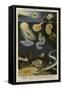 Phosphorescent Animals-null-Framed Stretched Canvas