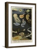 Phosphorescent Animals-null-Framed Premium Giclee Print