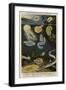 Phosphorescent Animals-null-Framed Premium Giclee Print