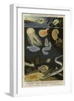 Phosphorescent Animals-null-Framed Premium Giclee Print