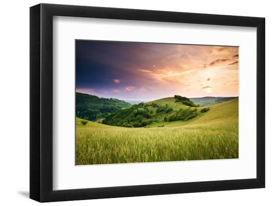 Premium Photographic Print, , large