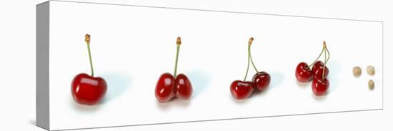 Photo Collection of Cherries-null-Stretched Canvas