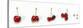Photo Collection of Cherries-null-Stretched Canvas