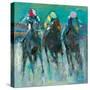 Photo Finish-Neil Helyard-Stretched Canvas